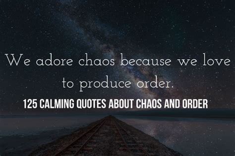 1+1+1 Life, love, chaos