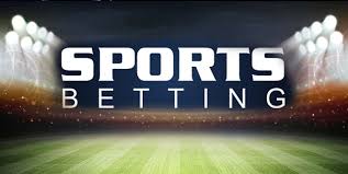 Your Ultimate Guide to vivi bet 3 Your Ultimate Guide to vivi bet 3