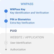 The Importance of Identity Management in the Digital Age