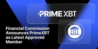 Live Trading on PrimeXBT Brazil