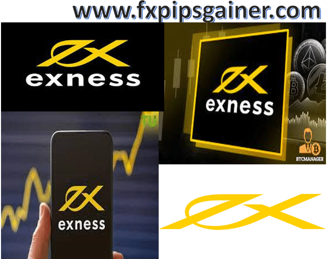 Understanding the Trading Environment Exness Algeria